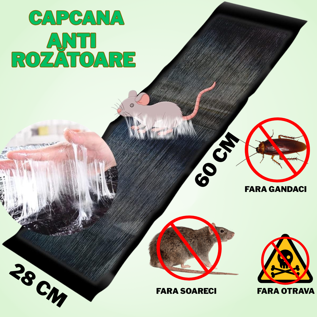 Capcana Anti-Rozatoare