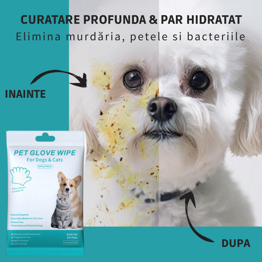 Mănușa magică