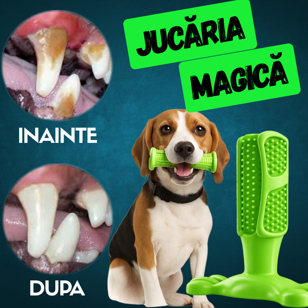 Jucaria Magică pentru animale